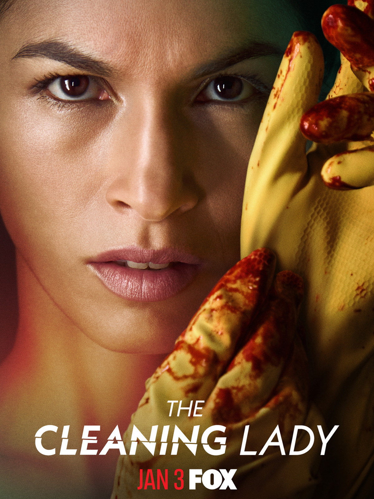 The Cleaning Lady Saison 1