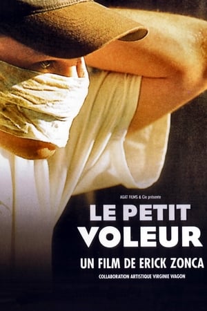 Le petit voleur