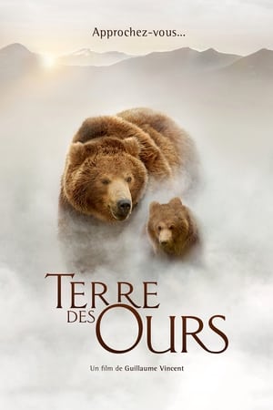 Terre des ours